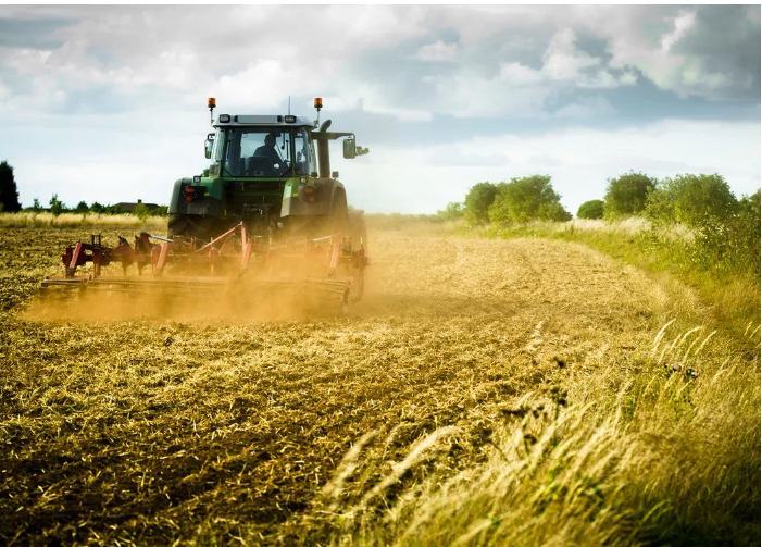 «Жители Совхозного живут в крайней бедности и не могут получить даже 1 га земли»