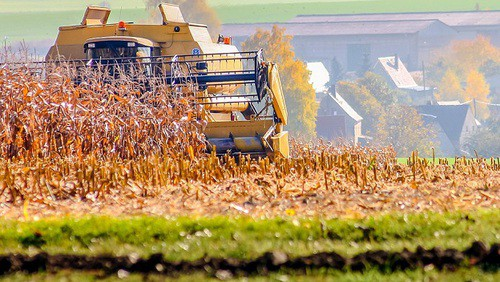 Суд в Кабардино-Балкарии разрешил арендатору работы на землях колхоза