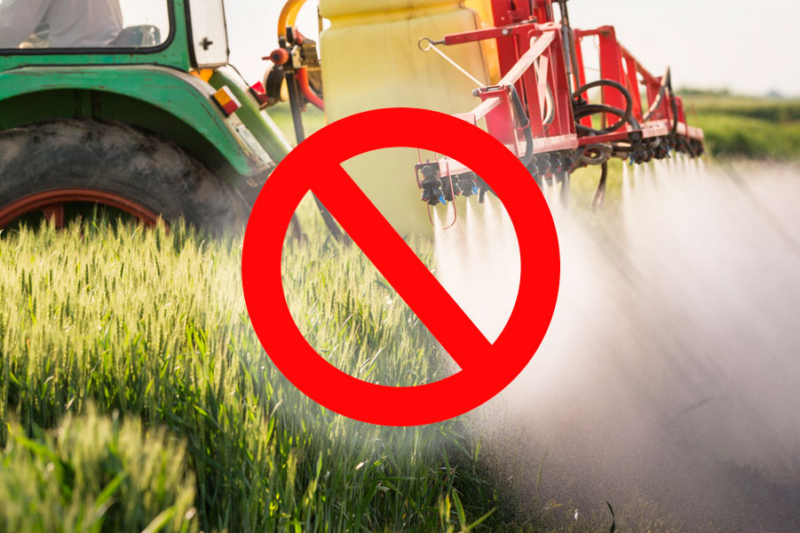 Суд запретил возделывать земли колхоза в Кабардино-Балкарии