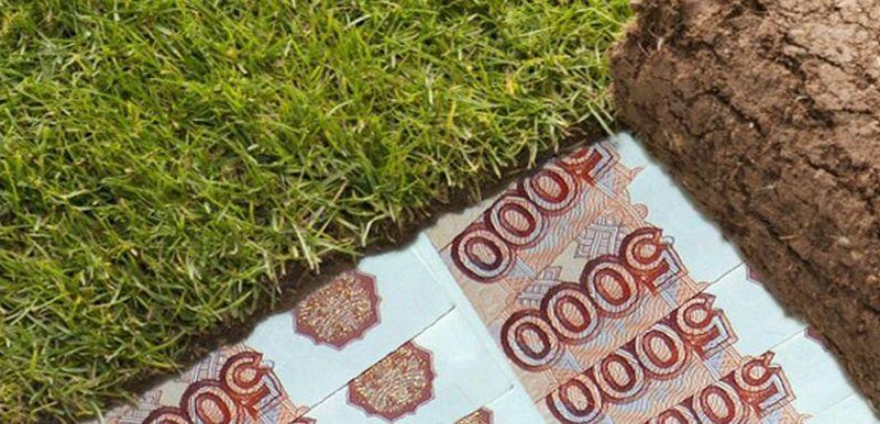 В бюджет республики не поступает арендная плата за сотни гектаров пашенных угодий с.п. Совхозное