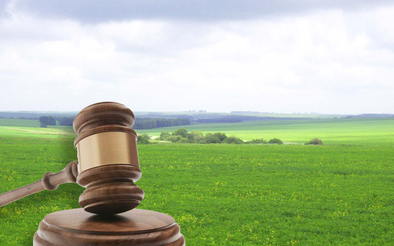 «Наблюдается самая настоящая продажа участков»