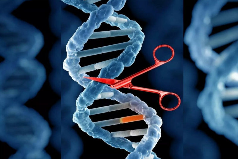 Война не имеет конца: свидетельства эпигенетики