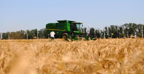 Жители с.п. Верхний Акбаш не могут добится получение земли в аренду